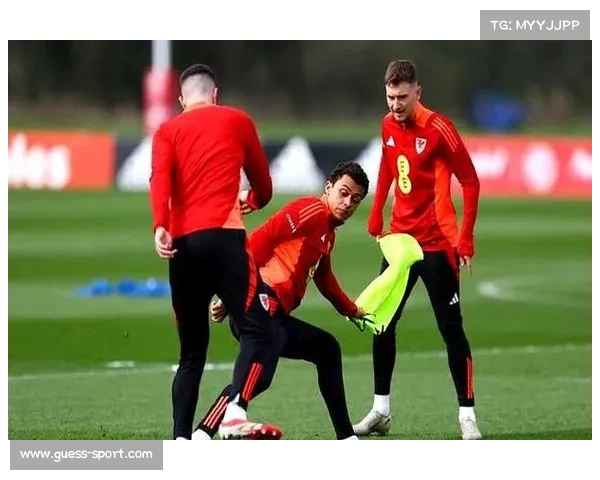 特写:梅斯老将终场前打入保级关键球后的疯狂庆祝