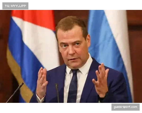 深度复盘:梅德韦杰夫决赛失利,暴露其硬地战术单一性